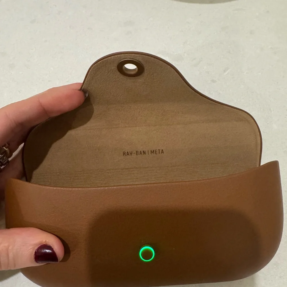 Ray-Ban meta Brown Sunglasses Case